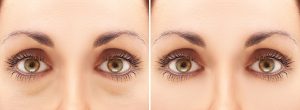 shutterstock_186318194